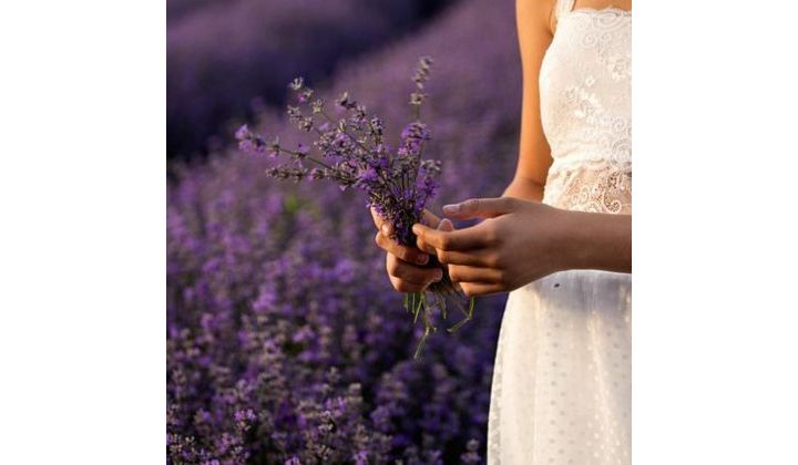 19 WAYS TO USE LAVENDER OIL FOR PRETTY MUCH EVERYTHING…