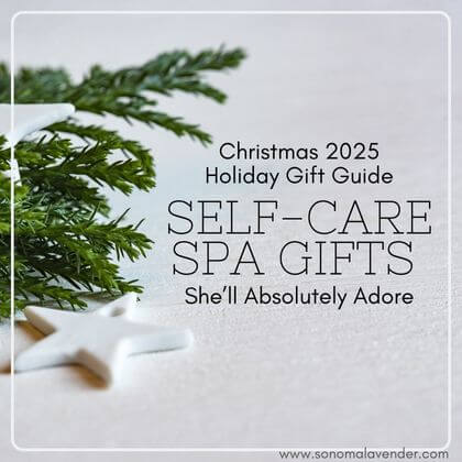 Christmas 2025 Holiday Gift Guide