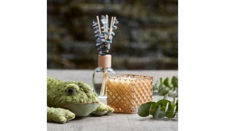 29 Powerful Uses of Eucalyptus Oil to Guarantee a Healthy Home and Family