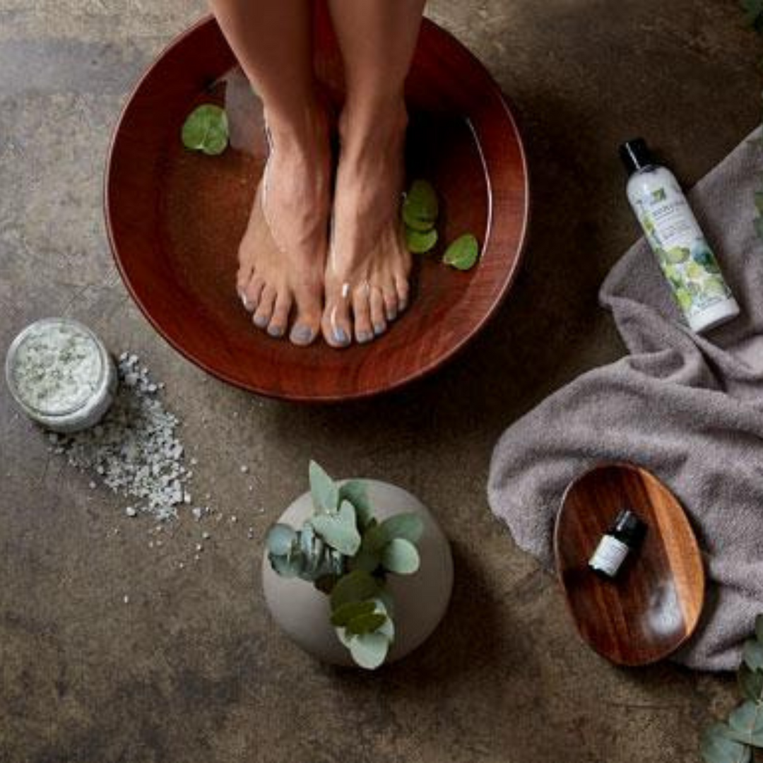 Eucalyptus Bath & Body Collection