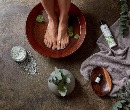 A serene foot spa scene featuring a person’s feet in a bowl | Lavender Shop | Sonoma Lavender