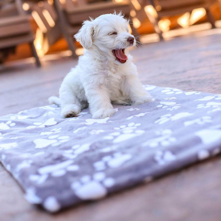 Calm+Comfort Lavender Dog Calming Mat