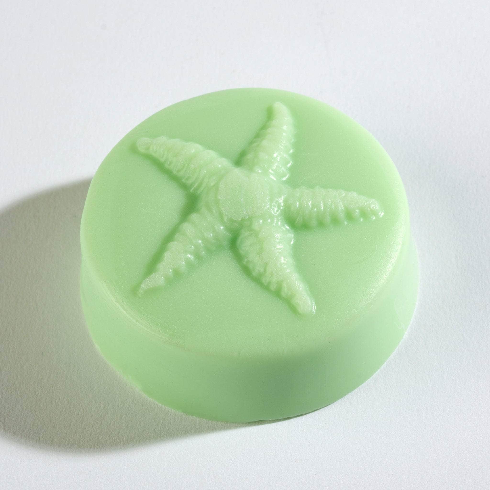 "Ocean Aire Scented Seashell Soap offers a refreshing, beach-inspired fragrance that gently cleanses and nourishes your skin, leaving it soft and rejuvenated.